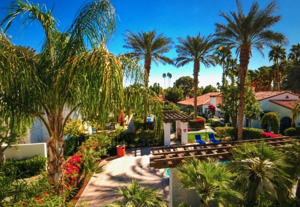 A palm tree filled yard with lots of trees.