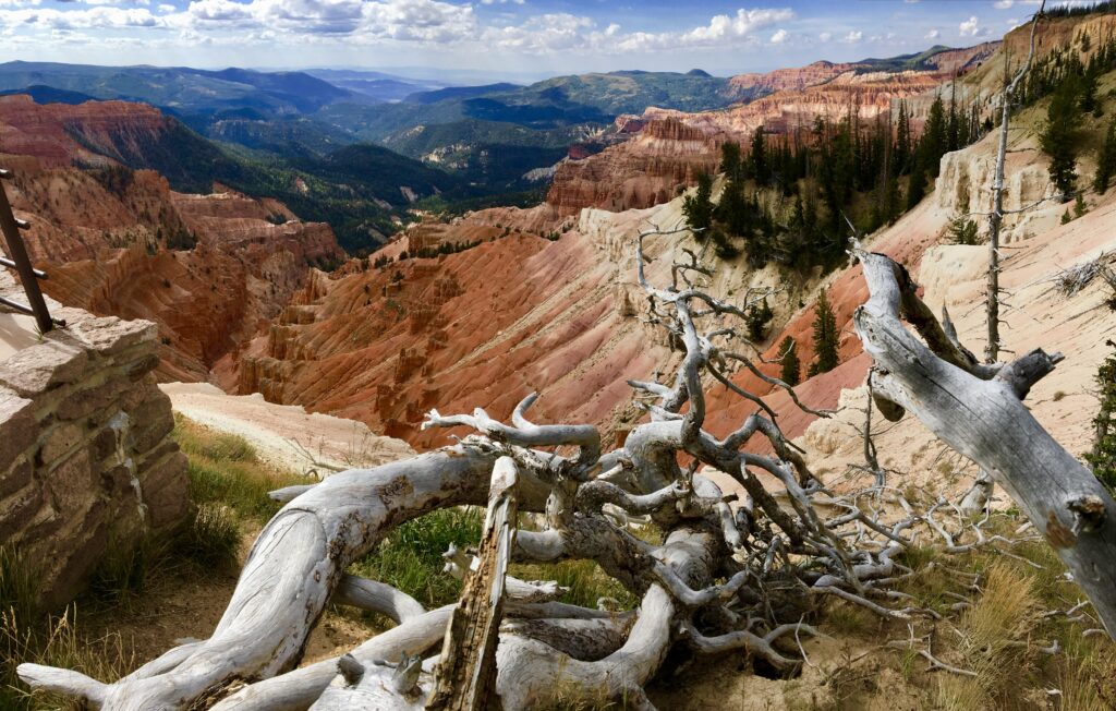A view of the mountains from above with trees.
