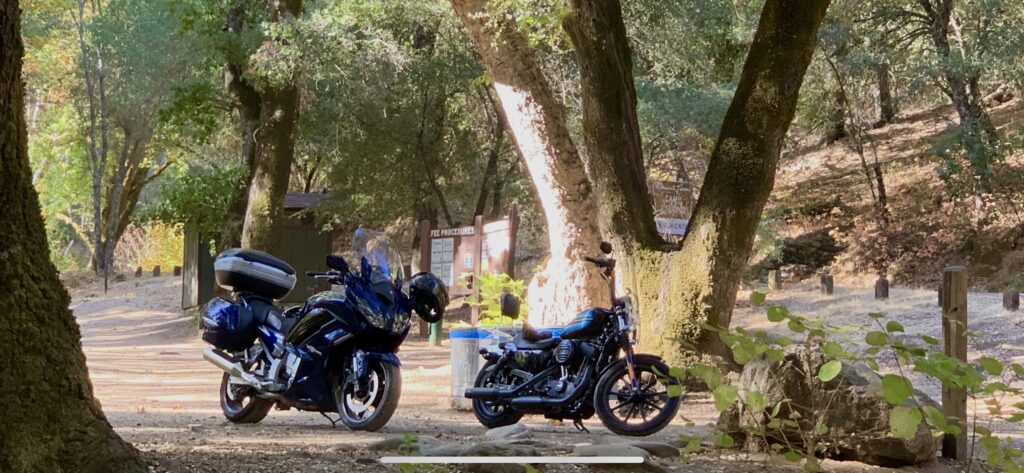 Two motorcycles parked in a park near trees.