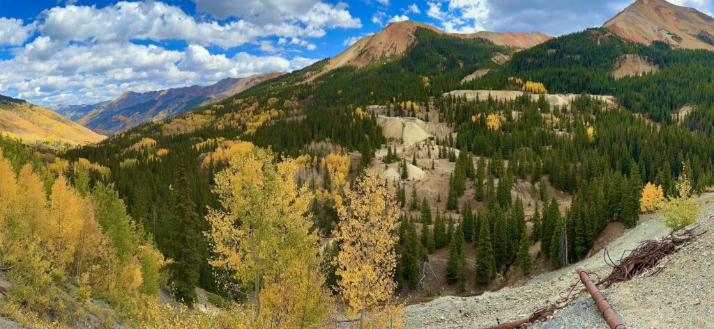 A mountain with trees and bushes in the background