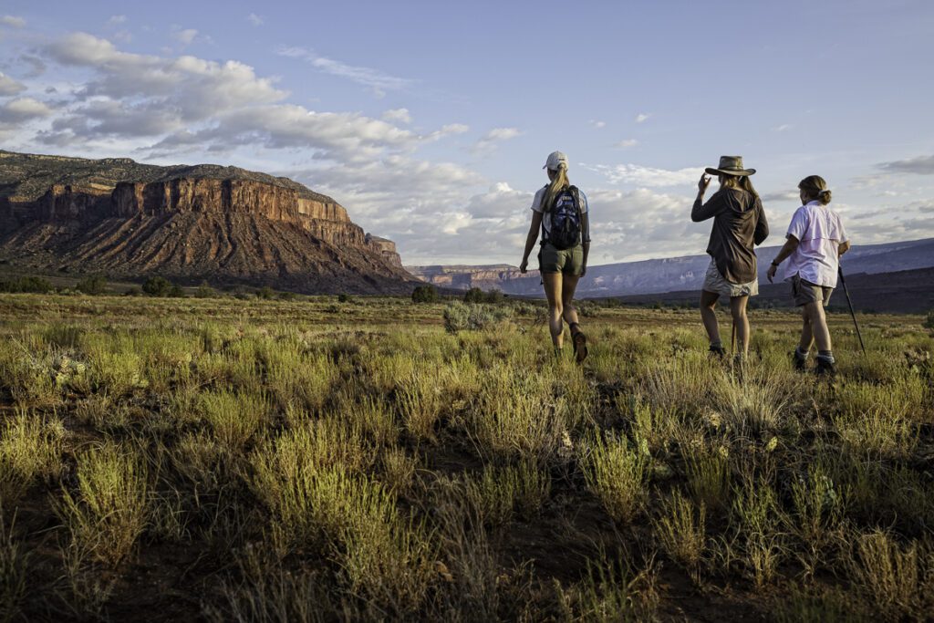 Two people walking through a field with mountains in the background.